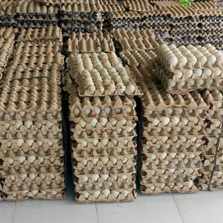 Sustainable and reliable production continuity